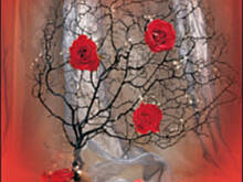 Fot. Elek, Miauka dzisiejszą solenizantką ! :):):)