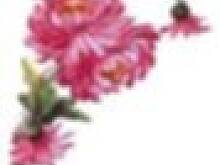 Fot. hope30, Ślimaki drożdżowe z orzechami i cynamonem wg Hope