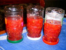 Fot. Jasiomuka, Dżemy jasiomuki