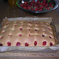 ciasto na każdą okazję z oliwą i owocami