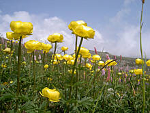 Fot. gosia64, Wycieczka w gory