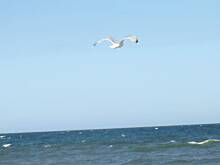 Fot. Janek, ..Wakacyjna prośba