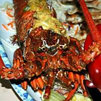 Lobster -homar- Bertusa w sosie holenderskim