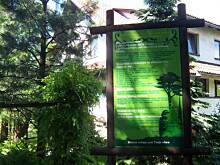 Fot. inka21, spacerkiem po ogrodzie botanicznym