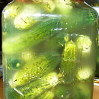 ogóry kiszone - banalnie proste