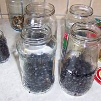 kompot jagodowy na całą zimę- ekspresowy