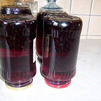 kompot jagodowy na całą zimę- ekspresowy