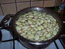 Fot. inka21, bób gotowany