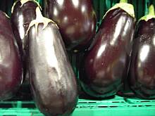 Fot. Glumanda, Bakłażany - co zrobić z tym fantem?