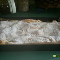 Karpatka niesamowita