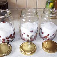 kompot z wiśni na całą zimę