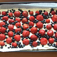 Ciasto ze śliwkami II