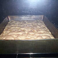 szybkie ciasto z jabłuszkami