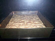 Fot. ewelincia89, szybkie ciasto z jabłuszkami