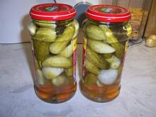 Fot. bahus, Korniszony