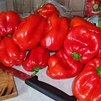 papryka marynowana z dodatkiem kopru