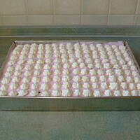 Poziomkowa lekkość bytu