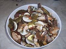 Fot. inka21, zupa grzybowa na nutę leśną