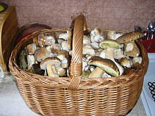 Fot. Iglosik, Prawdziwki marynowane