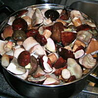 Podgrzybki marynowane