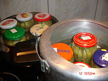 Fot. IK, Ogórki w zalewie musztardowej