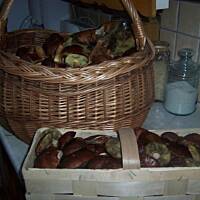 grzyby leśne smażone