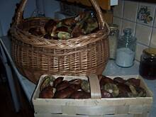 Fot. inka21, grzyby leśne smażone