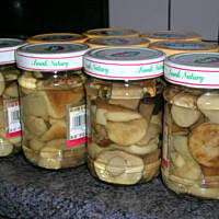 Podgrzybki marynowane