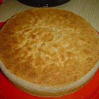 Biszkop z kawałkami czekolady