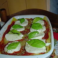 Lasagne wegetariańska