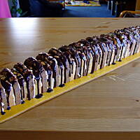 Metrowiec budyniowiec