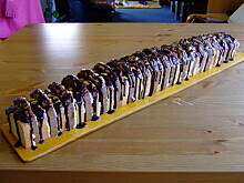 Fot. frankafiranka, Metrowiec budyniowiec