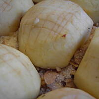 Ciasto kruche z połówkami Jabłek - Marysieńkowe