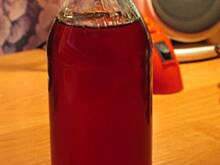 Fot. alman, Syrop z mleczu - dobry na kaszel