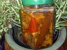 Fot. tineczka, Kurki marynowane z chili