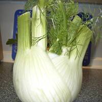 Koper włoski - fenkuł -zapiekany z serem Feta