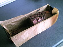 Fot. olcieek, Bananowy chlebek