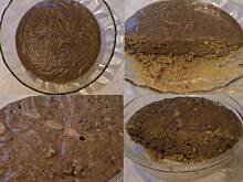 Fot. holly, Piernik staropolski - 4 tygodnie