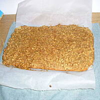 Orzechowiec Cioci Terenii