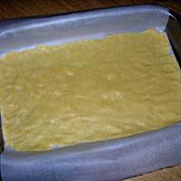 Orzechowiec Cioci Terenii