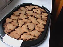 Fot. basia19, Cynamonki Janki