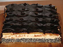 Fot. bunia, Cycki murzynki I