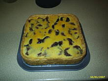 Fot. Malena, Ciasto sliwkowe z polewa budyniowo-smietanowa