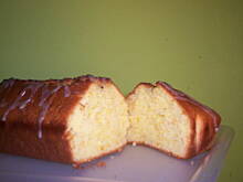 Fot. misiowa, Babka pomarańczowa