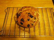 Fot. luckystar, Chlebek drozdzowy Charliego