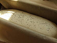 Fot. ilka76, Chleb dla początkujących