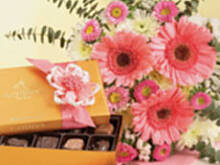 Fot. monia00, shoffix to dzisiejsza solenizantka