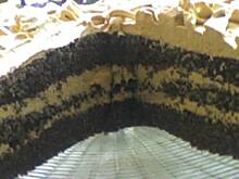 Fot. jadkin, Tort makowy Jadzi