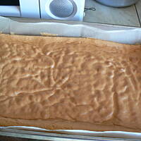 Ciasto biszkoptowe z owocami i kokosem