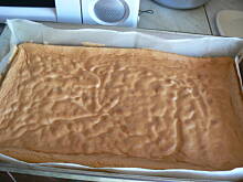 Fot. dana39, Ciasto biszkoptowe z owocami i kokosem